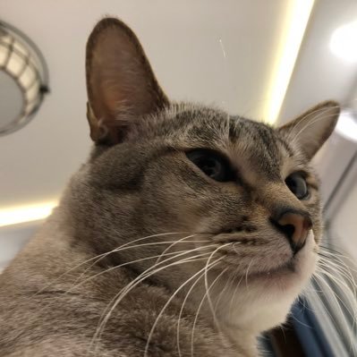 ggwx's profile picture.