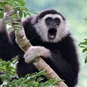 mcjame2013's profile picture. งานส่วนตัว