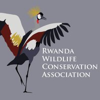 Rwanda Wildlife Conservation Association(@RwandaWildlife) 's Twitter Profile Photo