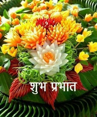 madanmo99983290's profile picture. 