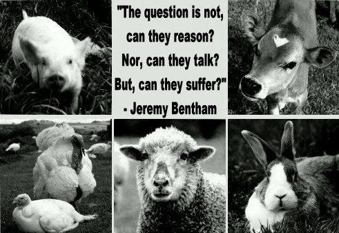 vegantinatalism's profile picture. 