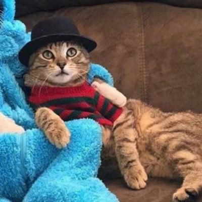 wolfdancing527's profile picture. 神探夏洛克