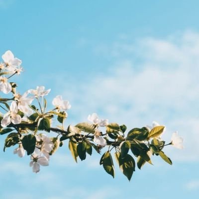 Tuti1001's profile picture. 