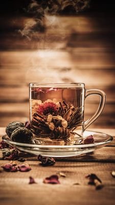 n5xUiLASpCEnIYg's profile picture. 