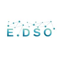 E.DSO(@EDSO_eu) 's Twitter Profile Photo