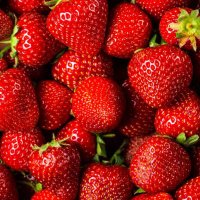 CCM-Ploug🅰️stel-D🅰️oul🅰️s (@teamplougastel) 's Twitter Profile Photo