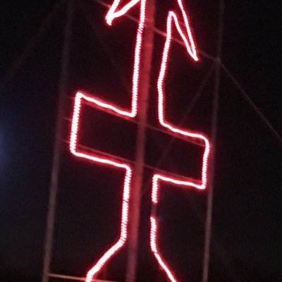 Mxz98555800's profile picture. 