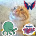 Lukdabeast's profile picture. Minnesota Twins and Vikings Superfan, Gamer, Student