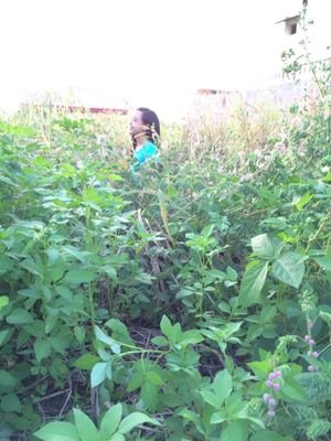 batterylevel_0's profile picture. Be nice to people on your way up
You'll meet them on your way down