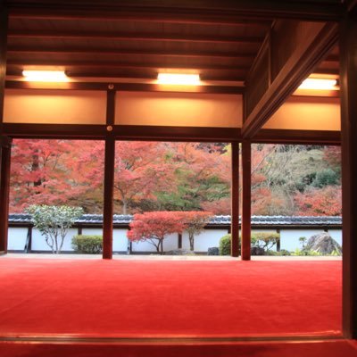 photo_walker's profile picture. 愛機片手に古都奈良の寺社仏閣を巡ったり、四季折々の花や風景を撮影しています。奈良の素敵な風景をお届けできたらいいな…。どうぞ宜しくお願いします。⚠️以下フォローお断り→投資❌、副業❌、勧誘❌エロ❌