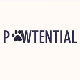 OUR MISSION: To help small shelters grow, showering the neglected with love and care, every day
Contact us to adopt, sponsor and more for these loving animals!