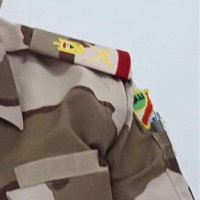 اللواء الركن المتقاعد محمد الحسيني (@al_hasanayne) 's Twitter Profile