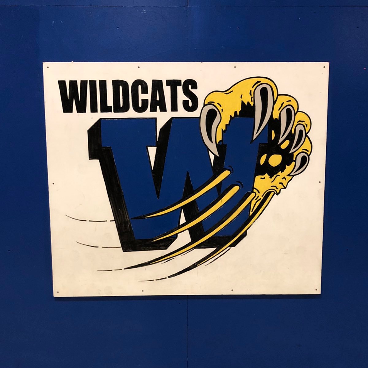 WVtpe's profile picture. K-8 Physical Education