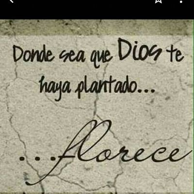 Crish74's profile picture. 