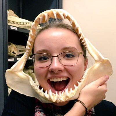 PhD student at @UFBiology @UF_CLAS studying the evolution and development of sharks, skates and rays in the Fraser Lab. #TeamFish