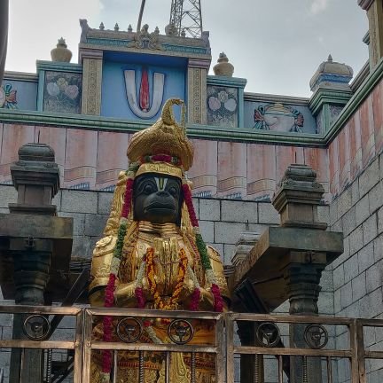 solarfuture91's profile picture. https://t.co/MShidJ1fGA