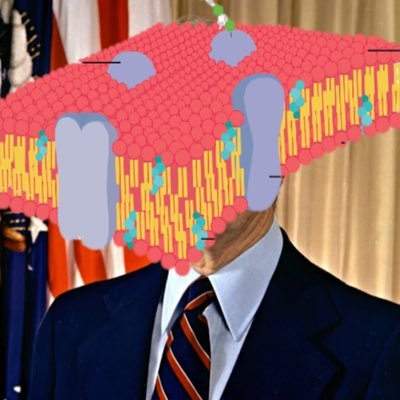 MembraneMartin's profile picture. Esteemed senator, patriot to the masses, and lover of cell liberties. #votecellmembrane