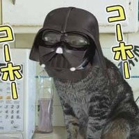 ね.こrider(@mymightycat1) 's Twitter Profile Photo