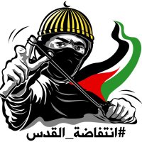 معتز محمد (@mutazmf) 's Twitter Profile