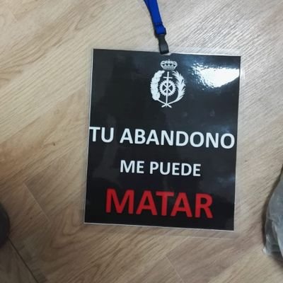 luisAlb91362743's profile picture. 