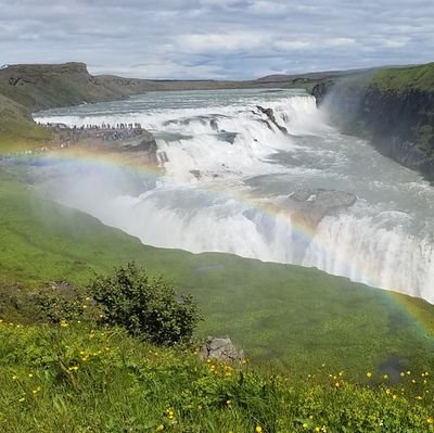 tweeteringser's profile picture. U.S. Army Retired, Conservative Christian, Father, devoted Husband, house on solar and drives a Rivian R1T.  Had a Tesla Y but needed a truck!