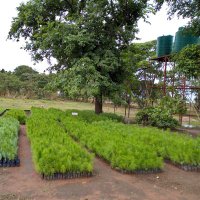 Ministry Of Lands- Zambia (@landszambia) 's Twitter Profile