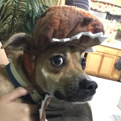 AlexGatica96's profile picture. 02.03.18❤️