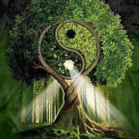 Bonnamy87231652's profile picture. 