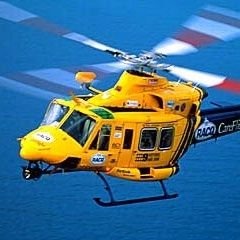 bruchero's profile picture. 