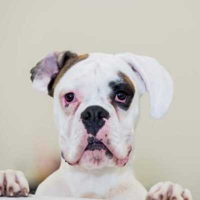 OttawaSticky's profile picture. Carpe Diem