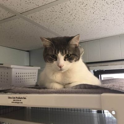 WeidrewG's profile picture. In the virtual world, I am free the express my true self.