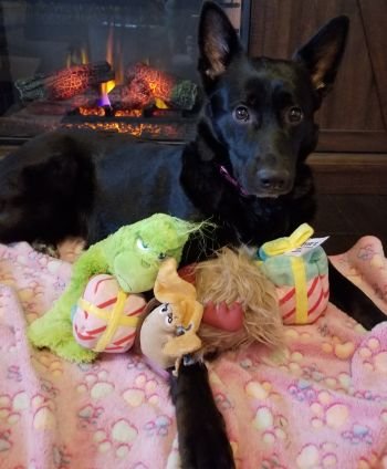 AtkaTheShepherd's profile picture. 