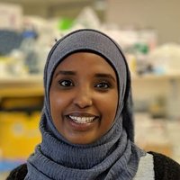 Hamdi (@hamdiajama) 's Twitter Profile