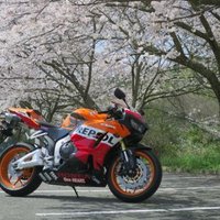 てんてん (@8eammng37lcb67l) Twitter profile photo