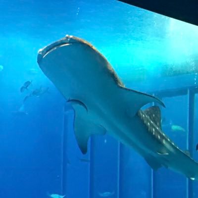 miyabiyuya's profile picture. ＩＴ関連自営業20年を経て2018年12月法人設立！トレードはFXスキャと株&gold中長期でやってます！ 中日ドラゴンズ愛☆ 前途多難…一寸先は闇…そして日々是新也！ 人生やりたい事が自由にできてるかな(^^) ツイは時々してます。無言フォローご容赦ください。