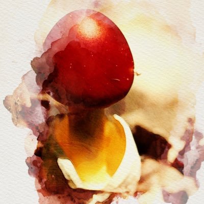 カミシロさんのプロフィール画像
