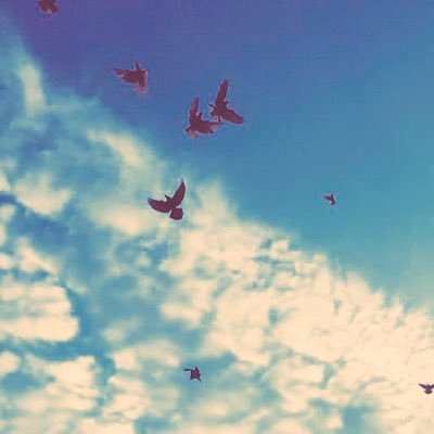 {تِلْكَ حُدُودُ اللهِ فَلَا تَعْتَدُوهَا وَمَنْ يَتَعَدَّ حُدُودَ اللهِ فَأُولَئِكَ هُمُ الظَّالِمُونَ} اعجابي با أفكارك لا يعني بالضرورة أعجابي بشخصك الكريم