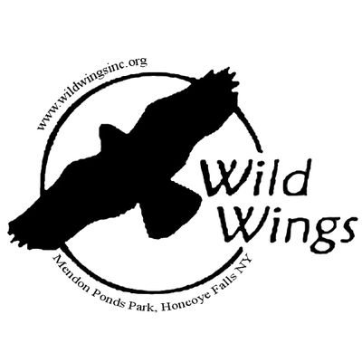 Not-for-profit educational organization which houses permanently injured birds of prey.