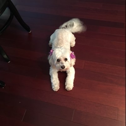 angus_walters's profile picture. 