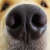 sTolik (@stolik2000) Twitter profile photo sTolik (@stolik2000) Twitter profile photo