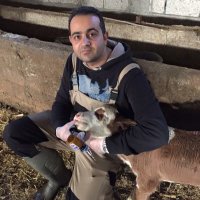 idris karaca (@karacaido) Twitter profile photo