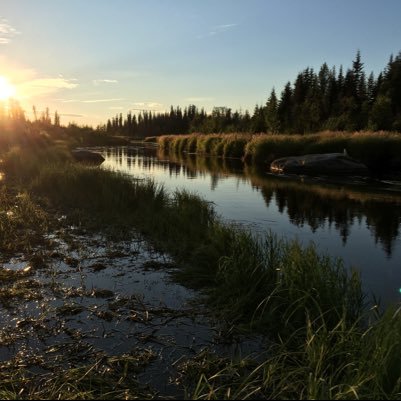 halfmanhalfmac2's profile picture. If you can’t get it right the first time lower your expectations