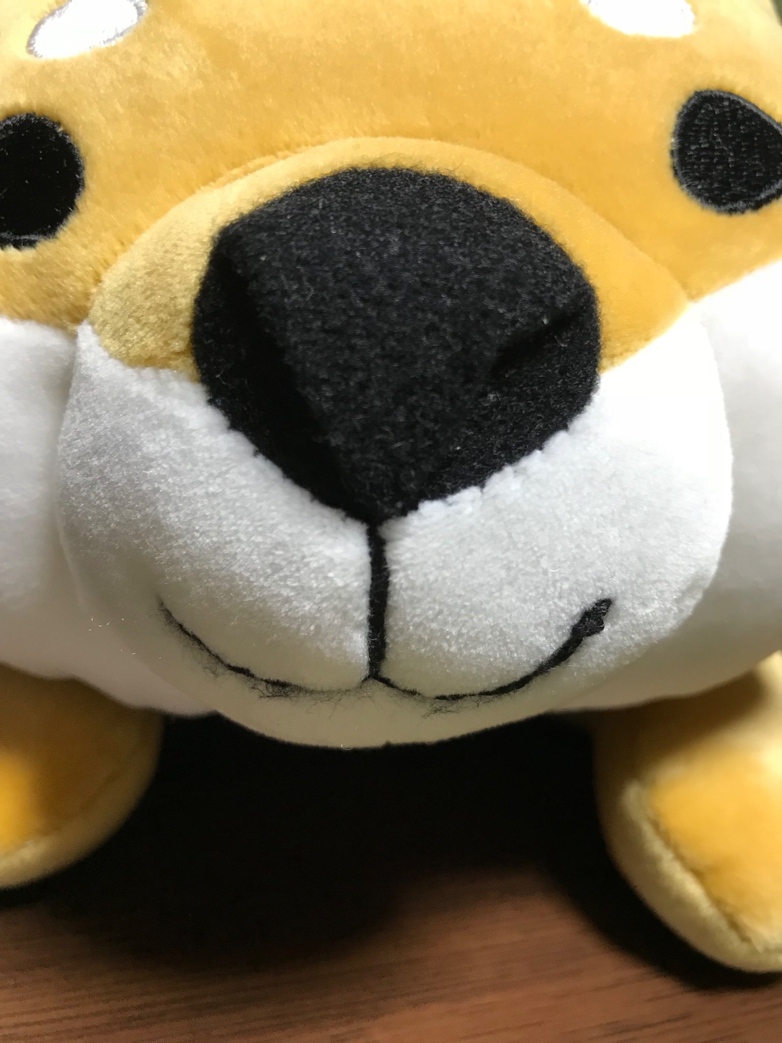 トムーシュさんのプロフィール画像
