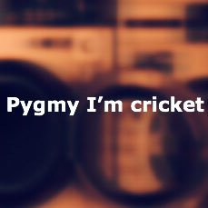 (New release) https://t.co/tNGBp1UsLW (Mail) pygmyimcricket@gmail.com