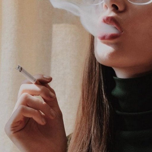 Hédoniste et bi, en couple avec ma chérie Soso .Notre devise ne pas se prendre la cabuselle et vivre Carpe Diem http://t.co/XfNhwj1Z54