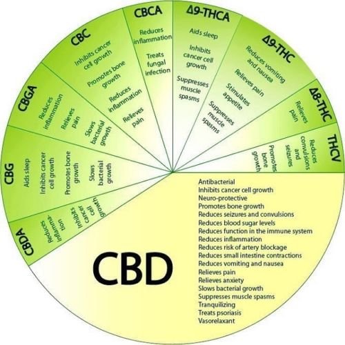 We're premium Wholesale & Distributors of CBD Products through our main supply units in the U.S.A,Thailand and Turkey,to handle supply world-wide.