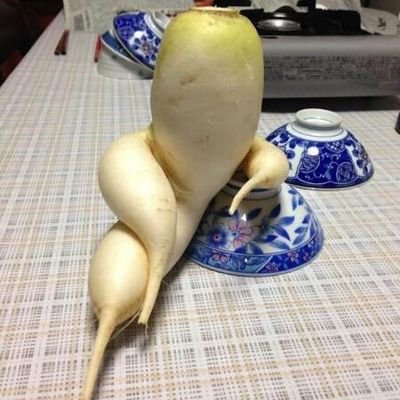 seixiceseixice1's profile picture. 裏アカ。非喫煙者40代♂ぽっちゃりの愛知東部です。平日夕方～ドライブ🚗などしたいですね。待ち合わせ時間から30分経過しても来ない場合、帰ります。違和感を感じる方は会いません