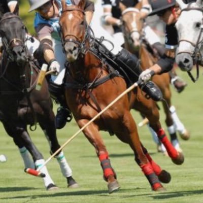 World Series of Polo