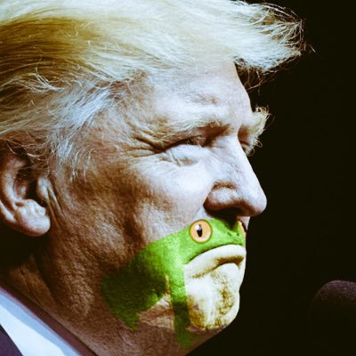 czapce's profile picture. 