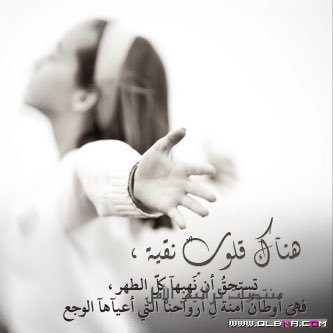 dody07563237's profile picture. كن ذليلاً لربك،ثم أمك،ثم أبيك،ثم ضع نقطة.